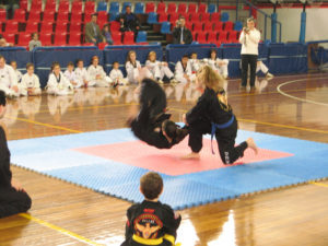 HAPKIDO ΕΠΙΔΕΙΞΕΙΣ 2011C