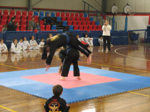 HAPKIDO ΕΠΙΔΕΙΞΕΙΣ 2011Α